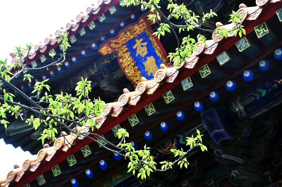 168幸运飞艇